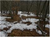 Povžane - Grmada at Slavnik